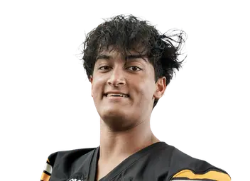 Zaydaan Faridi headshot