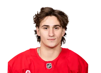 Amadeus Lombardi headshot